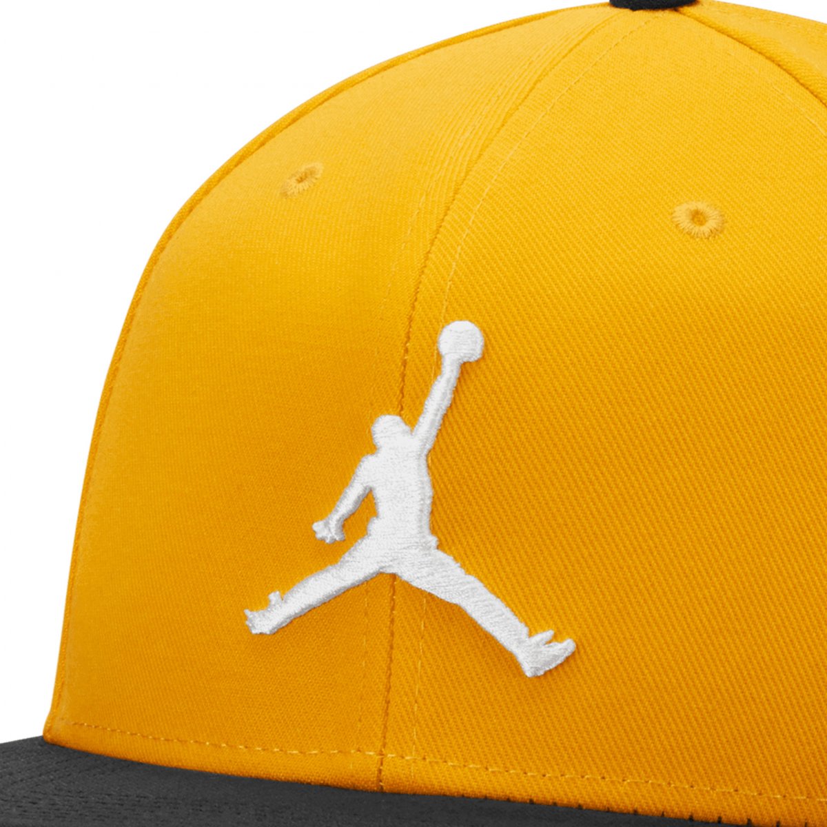 Gorra Jordan Pro Jumpman