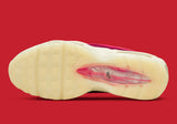Nike Air Max 95 "Anatomía del aire"
